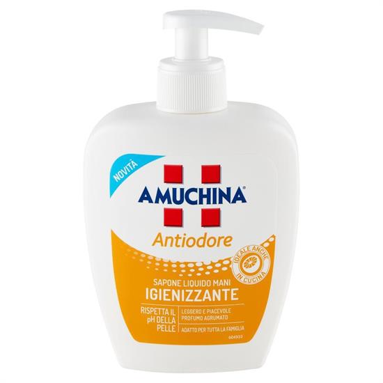 AMUCHINA SAPONE LIQUIDO 250 ML ANTIODORE