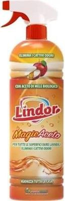 LINDOR MANGIACETO 900 ML SPRAY