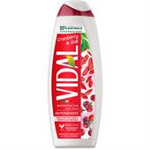 VIDAL BAGNO 500ML BAC. DI GOJI (NUOVO)